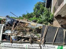 Best Retail Junk Removal  in Carbondale, CO